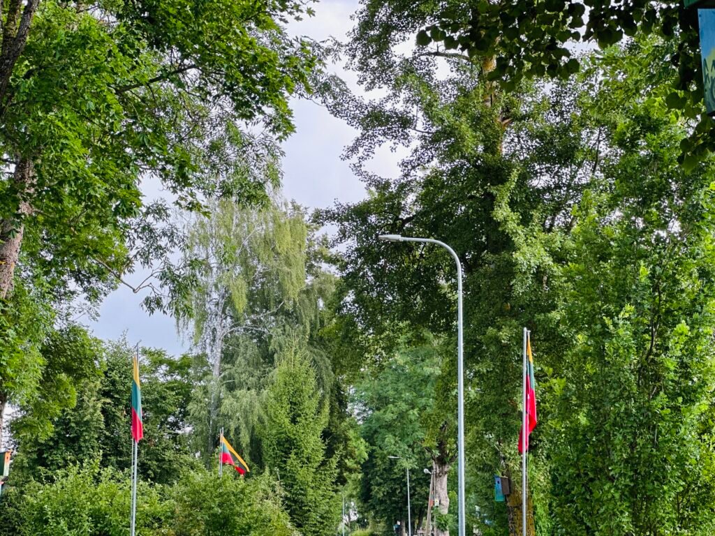 Most patriotic village in Lithuania
