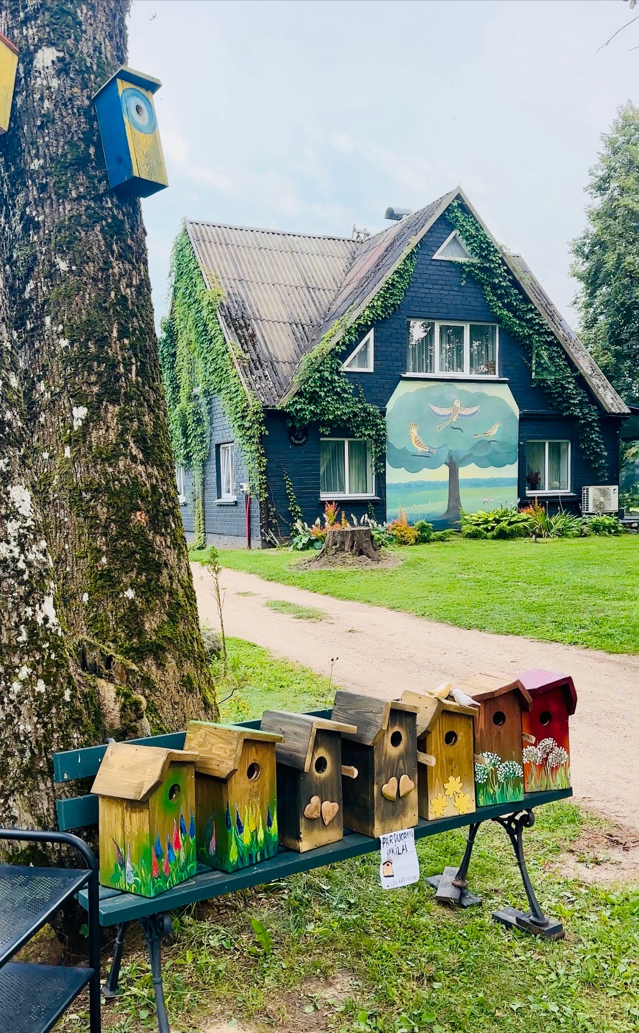 500 colorful birdhouses