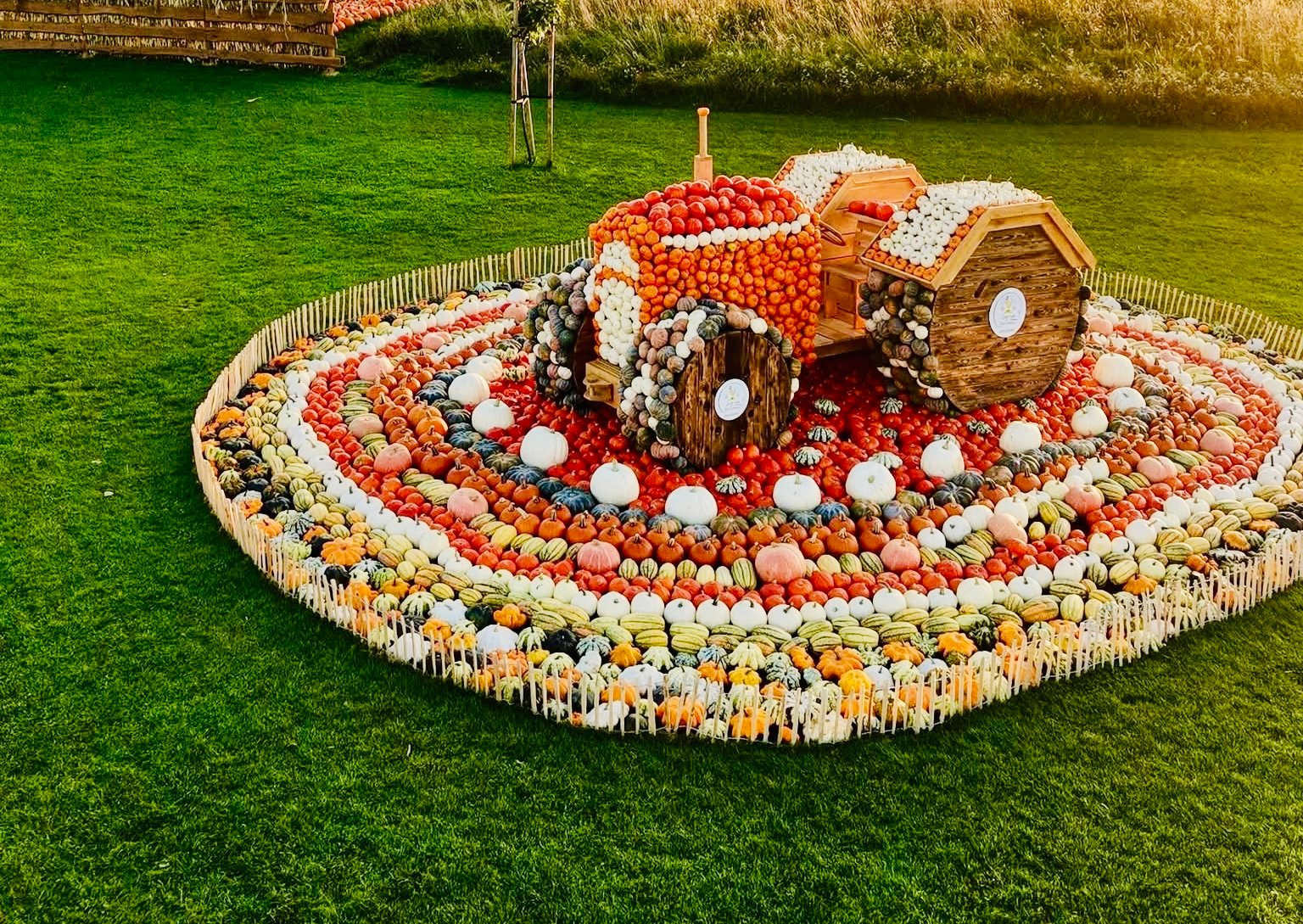 Pumpkin park in Poland near Gdansk