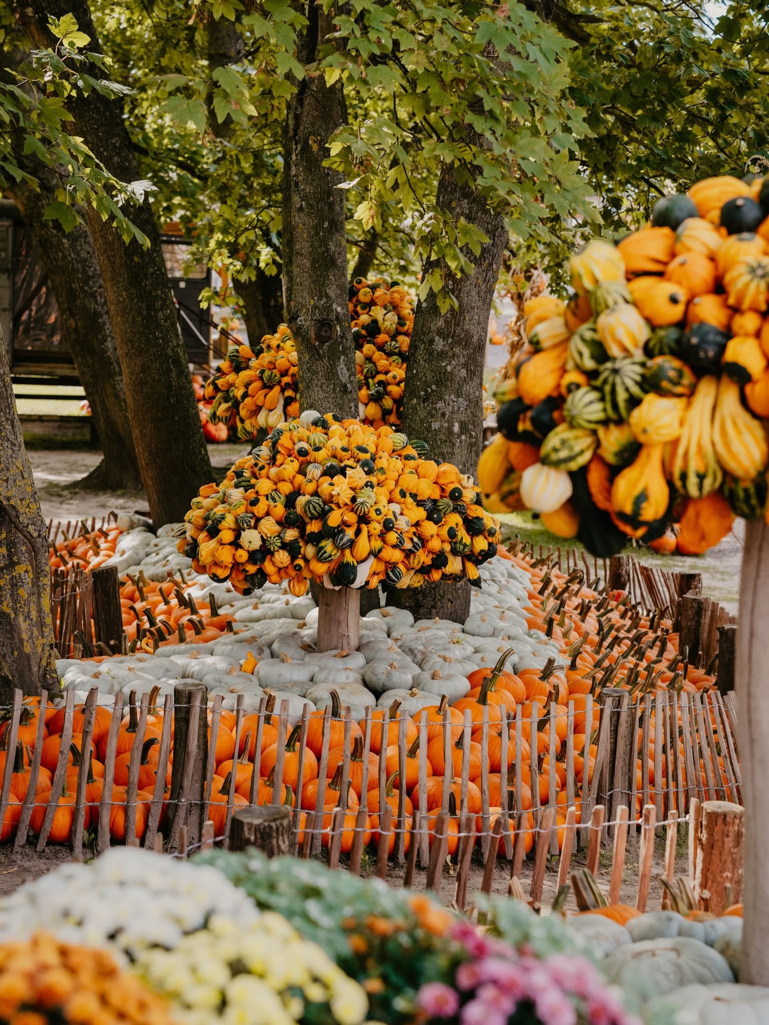 Pumpkin park in Poland near Gdansk