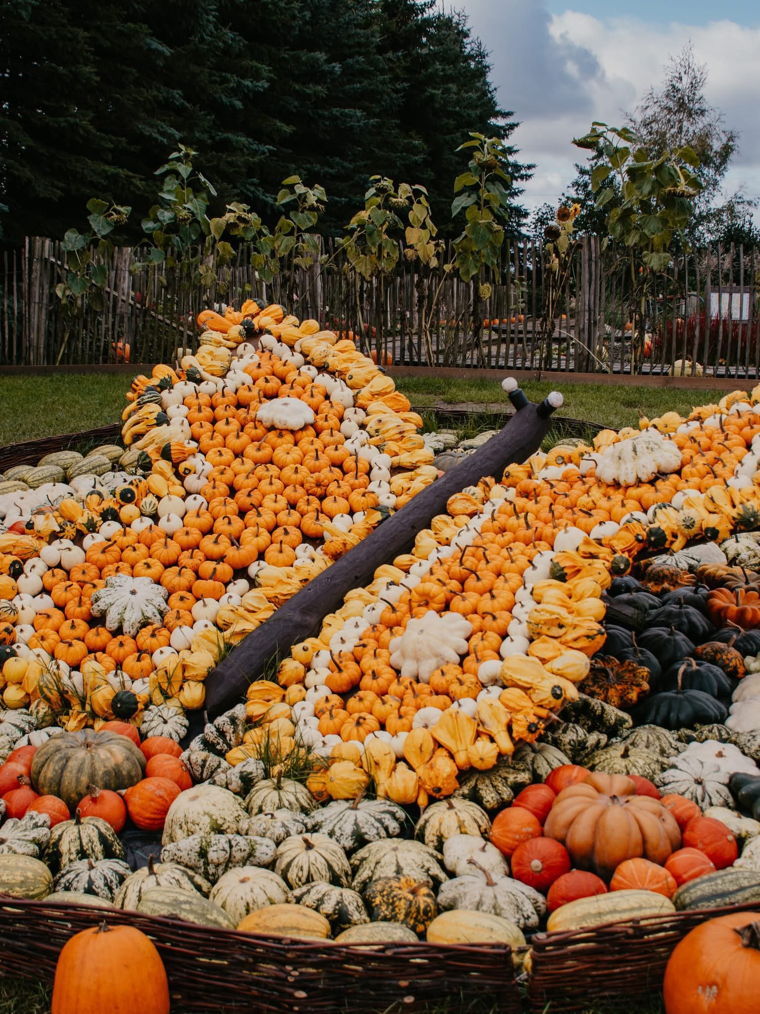 Pumpkin parks in Poland