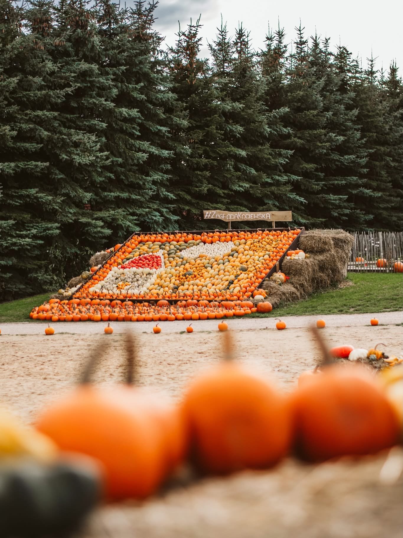 Where to see pumpkin parks in Poland