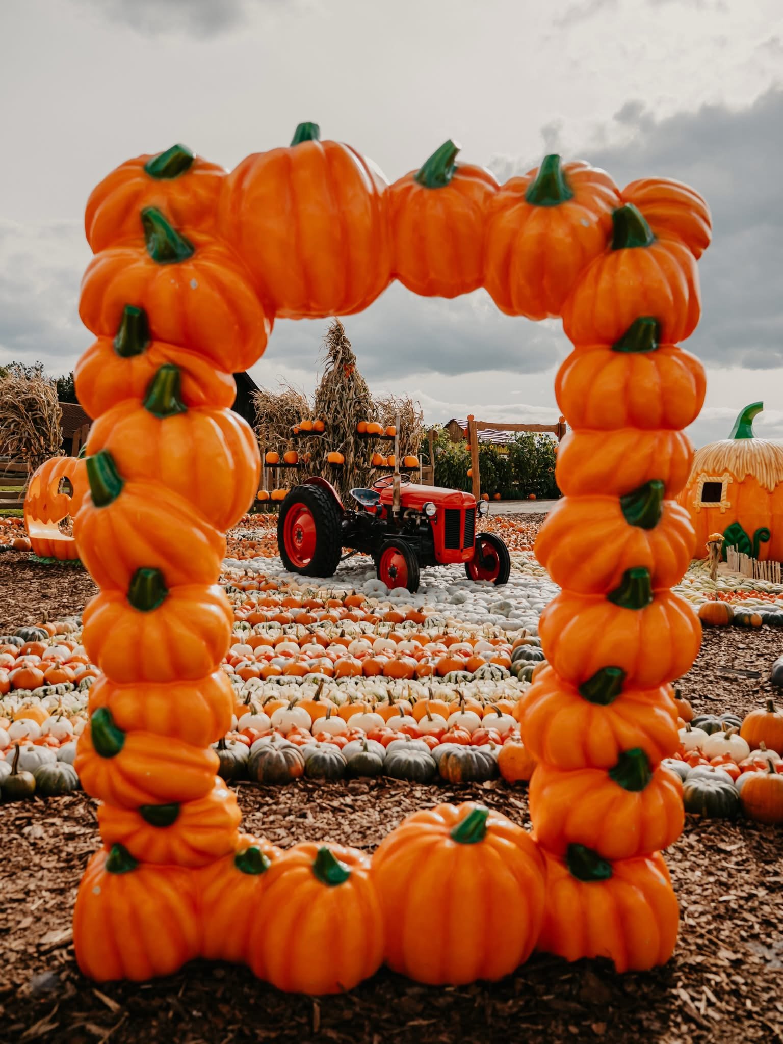 Pumpkin park in Poland near Gdansk
