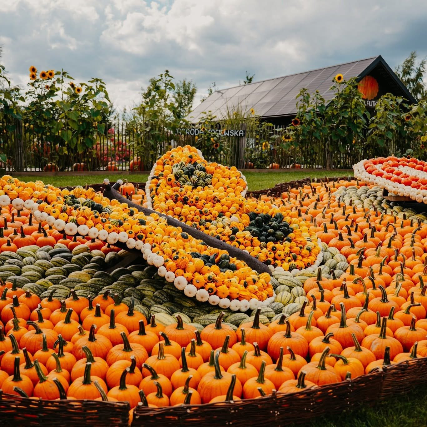 Pumpkin park in Poland near Gdansk