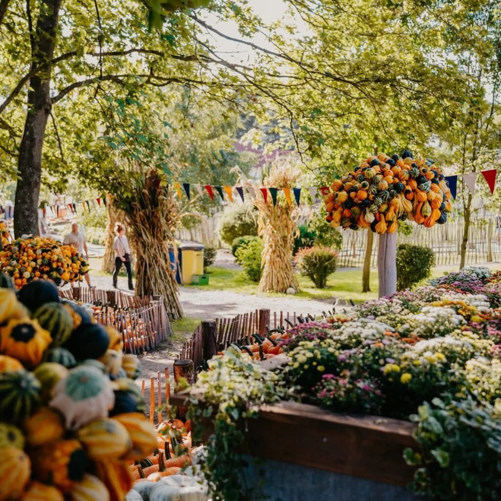 Pumpkin park in Poland near Gdansk
