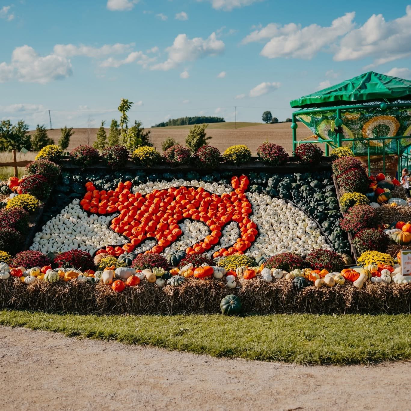 Where to see pumpkin parks in Poland