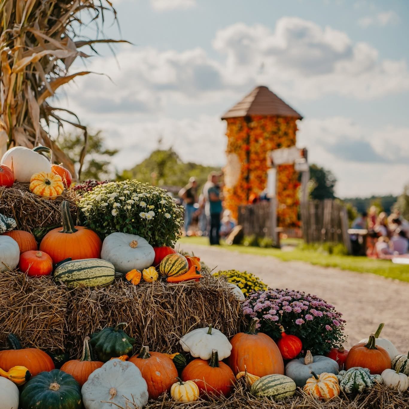 Pumpkin park in Poland near Gdansk
