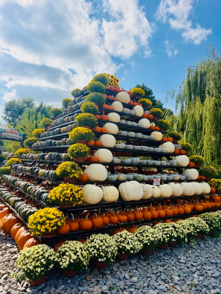 Pumpkins parks in Poland