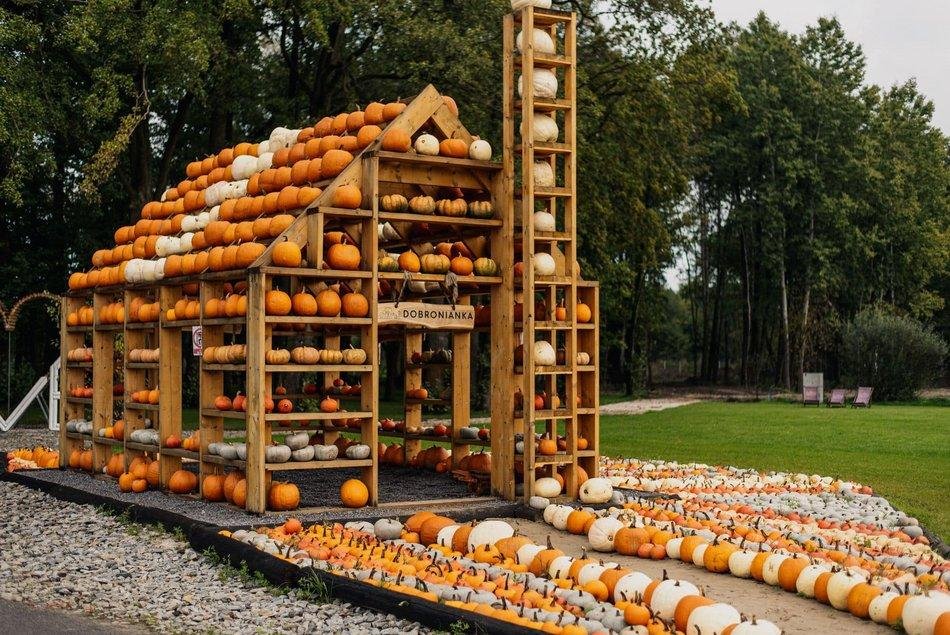 Amusement parks in Poland