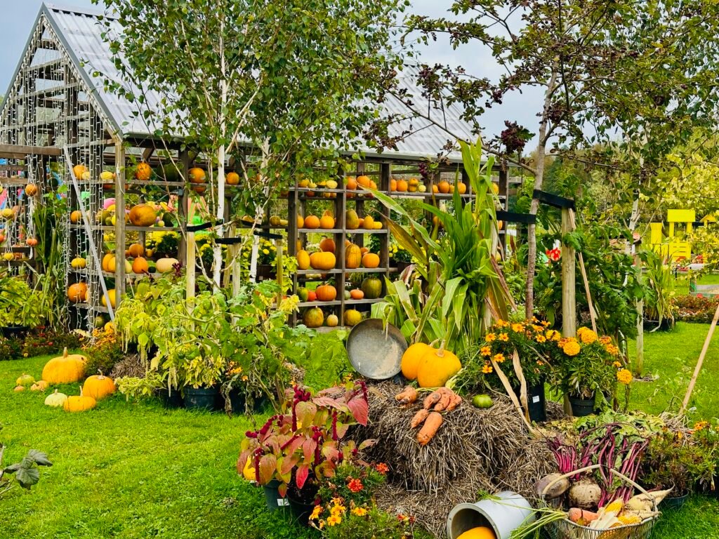 Gardens of Babylon in autumn