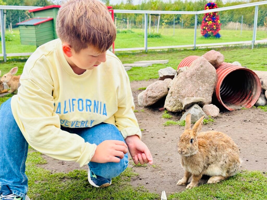 Autumn activities for children