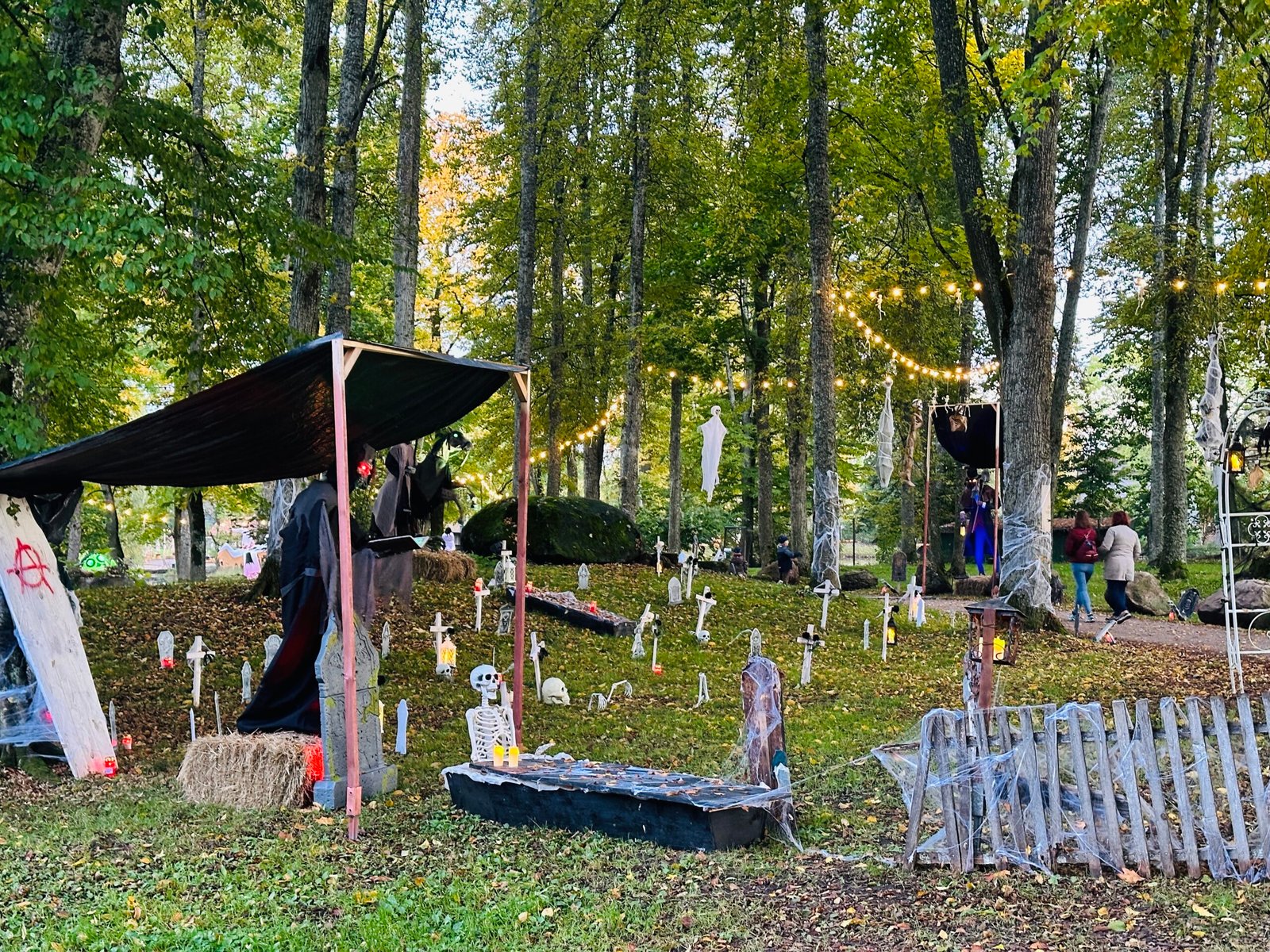 Which Halloween park should you visit with the kids