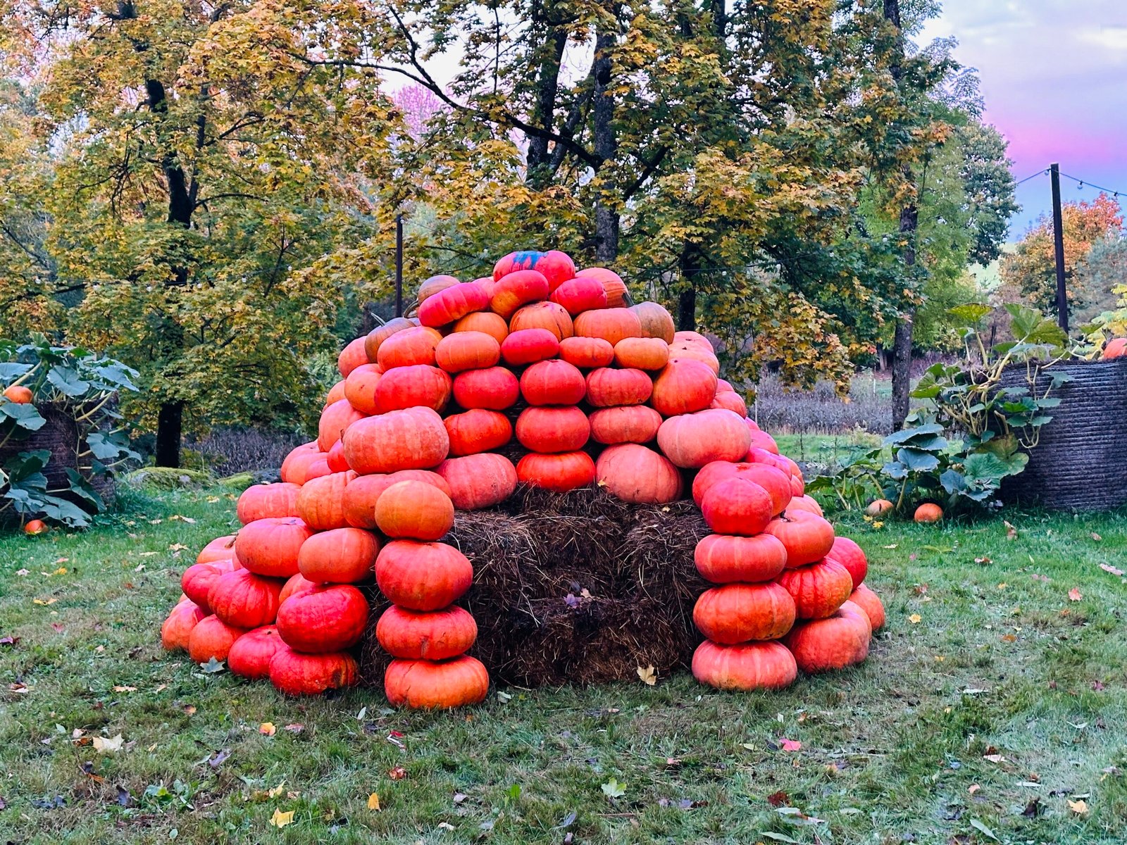 Halloween parks in Lithuania 2026