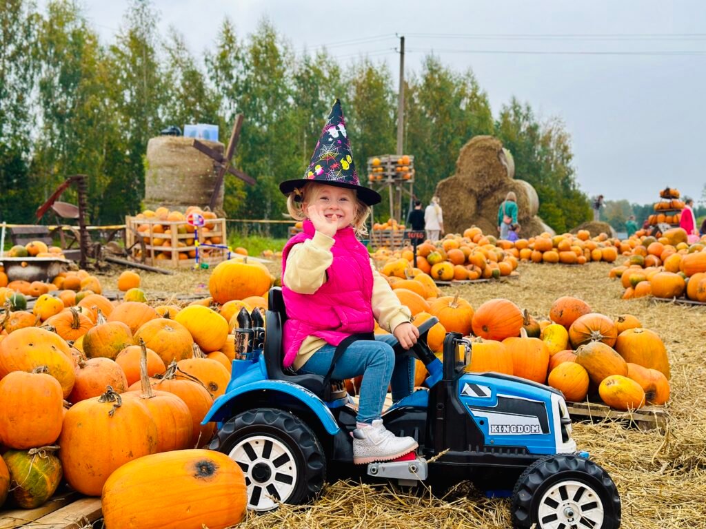 Pumpkin Yard in Klaipėda District