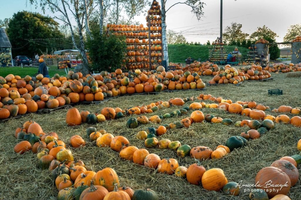 Pumpkin park near Klaipėda