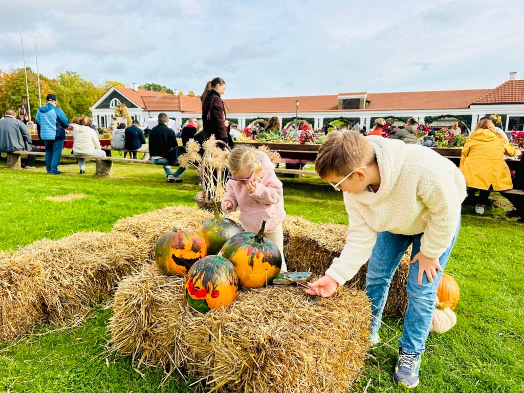 Autumn activities for children in Lithuania