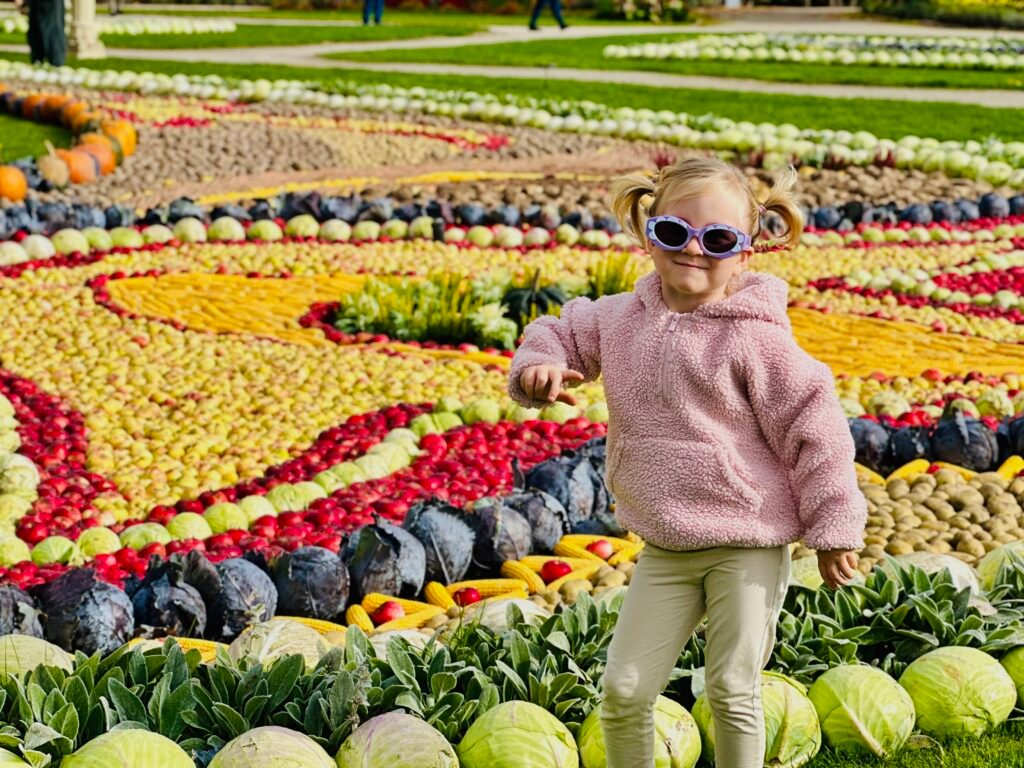 Autumn activities for children in Lithuania