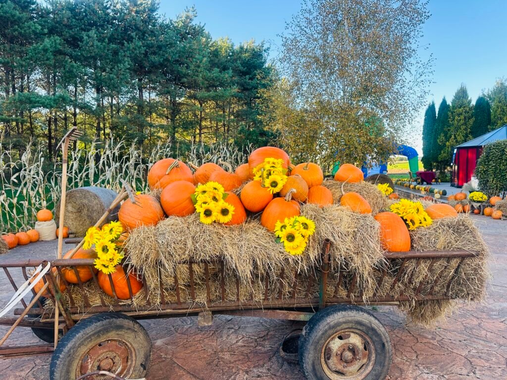 Kid-friendly Halloween in Kretinga district
