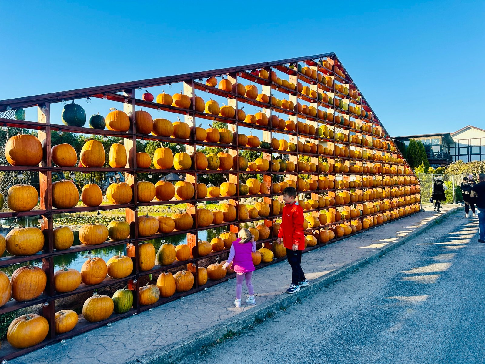 The largest pumpkin wall in Lithuania