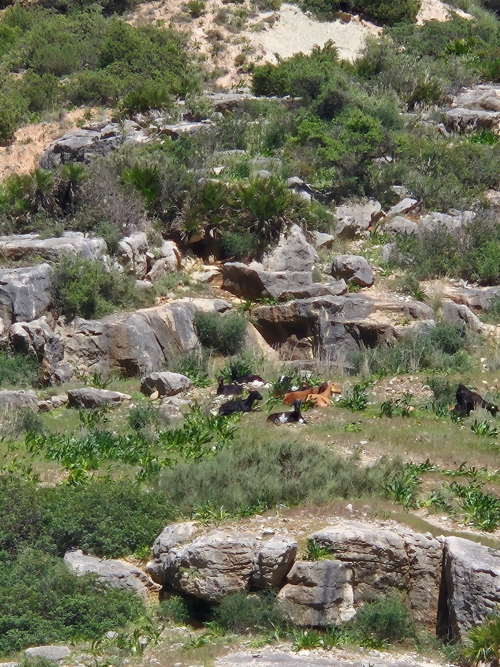The Caminito del Rey in Spain