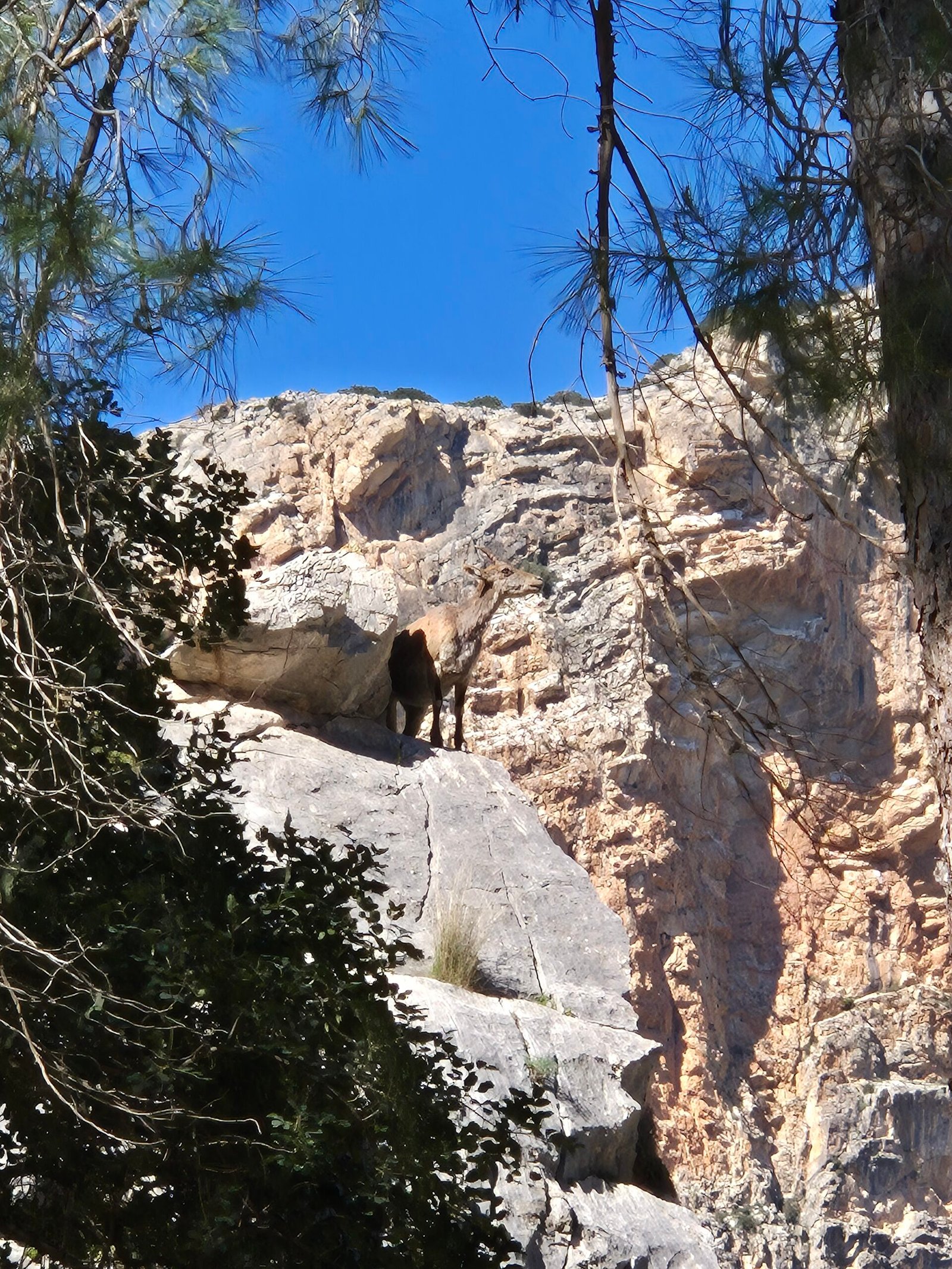 The Caminito del Rey in Spain
