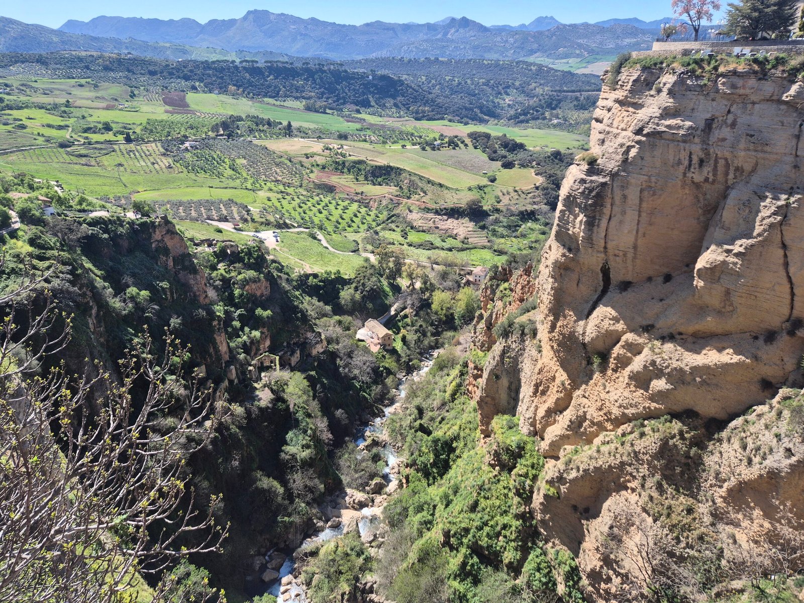 Ronda