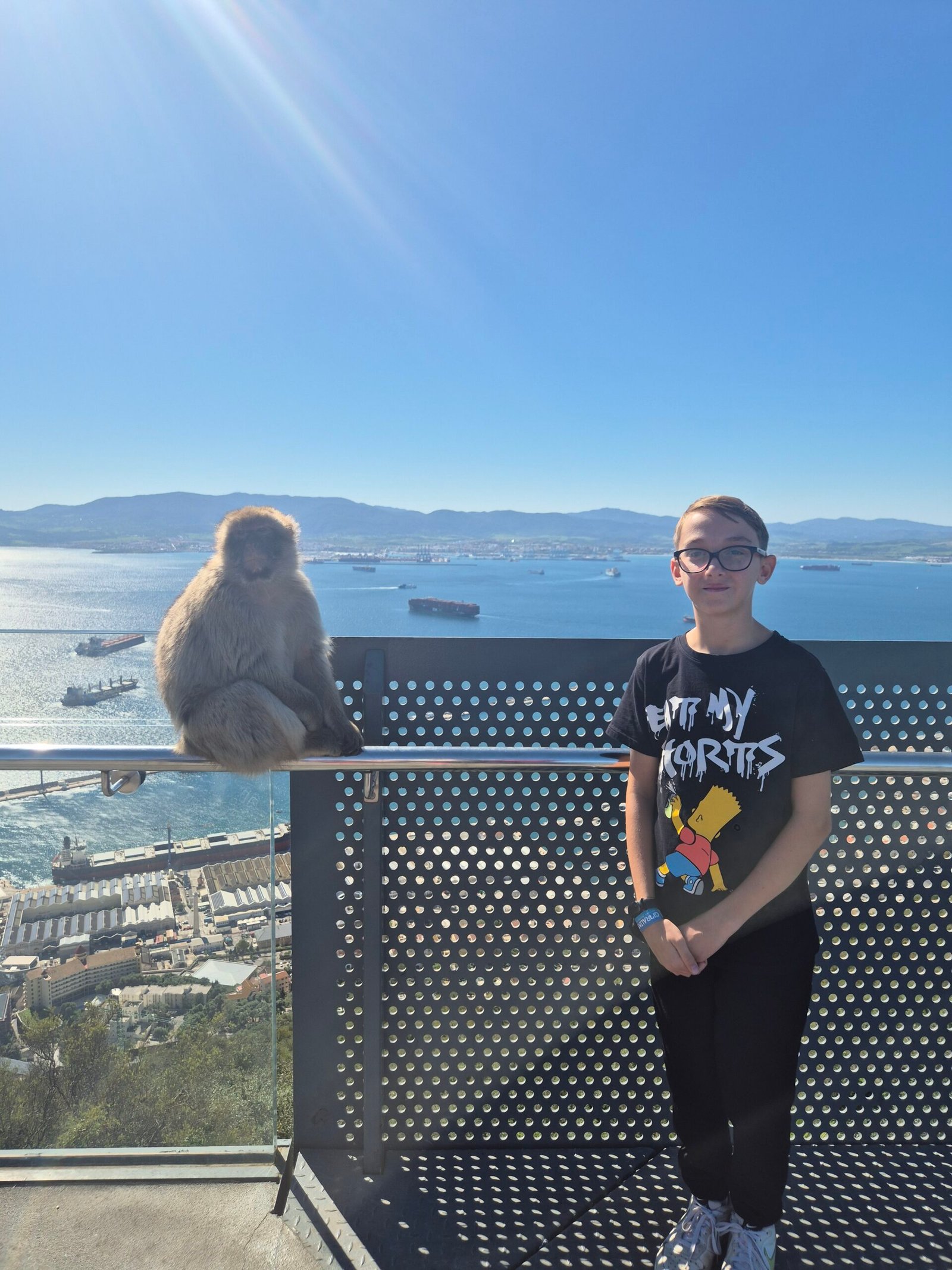 Gibraltar’s Monkeys