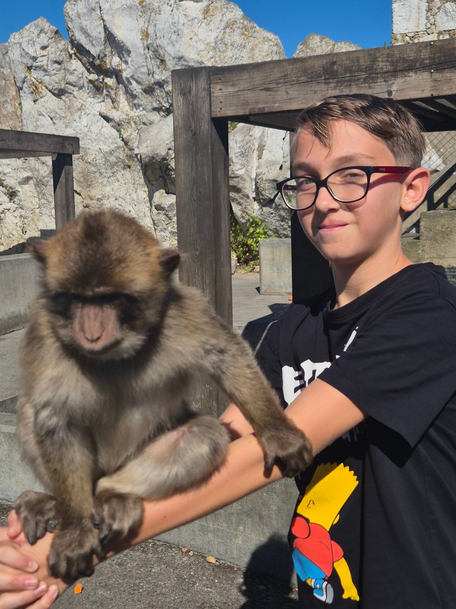 Gibraltar’s Monkeys