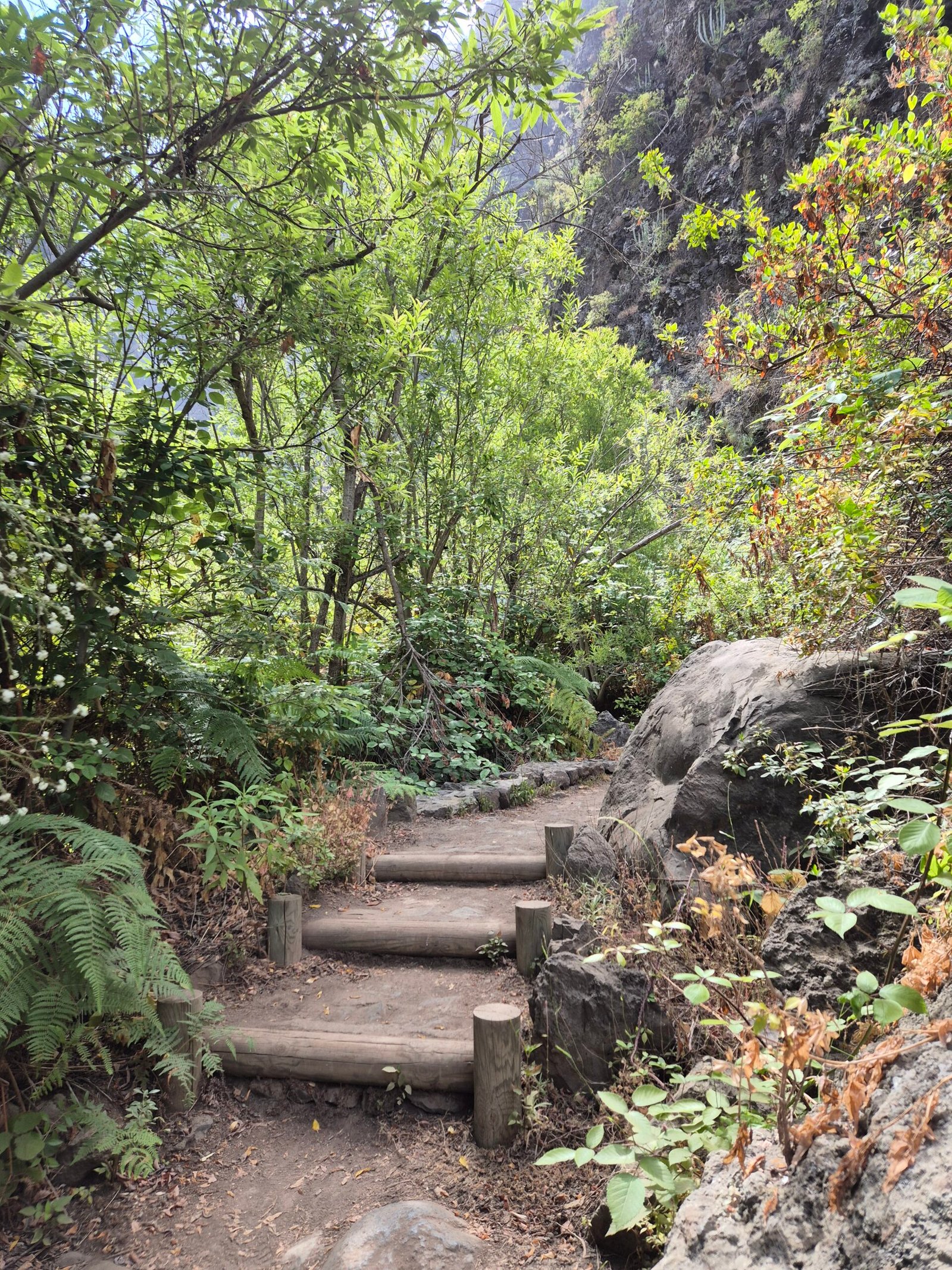 Barranco del Infierno in Tenerife South: hiking through Hell’s Ravine to a stunning waterfall