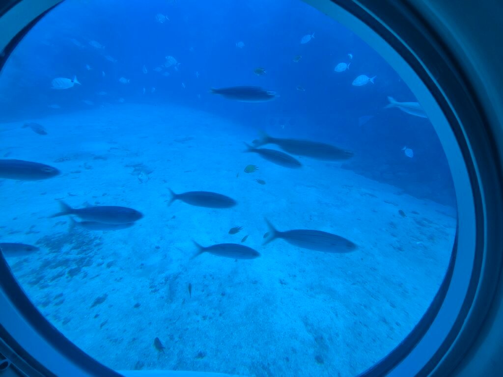 Submarine tour in Tenerife