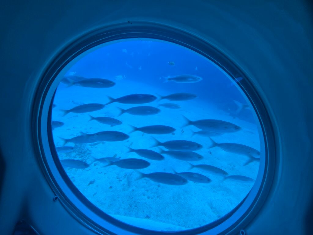 Underwater world