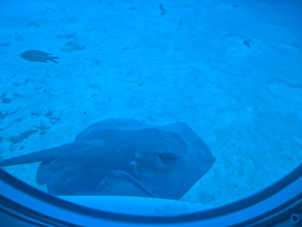 Submarine tour in Tenerife