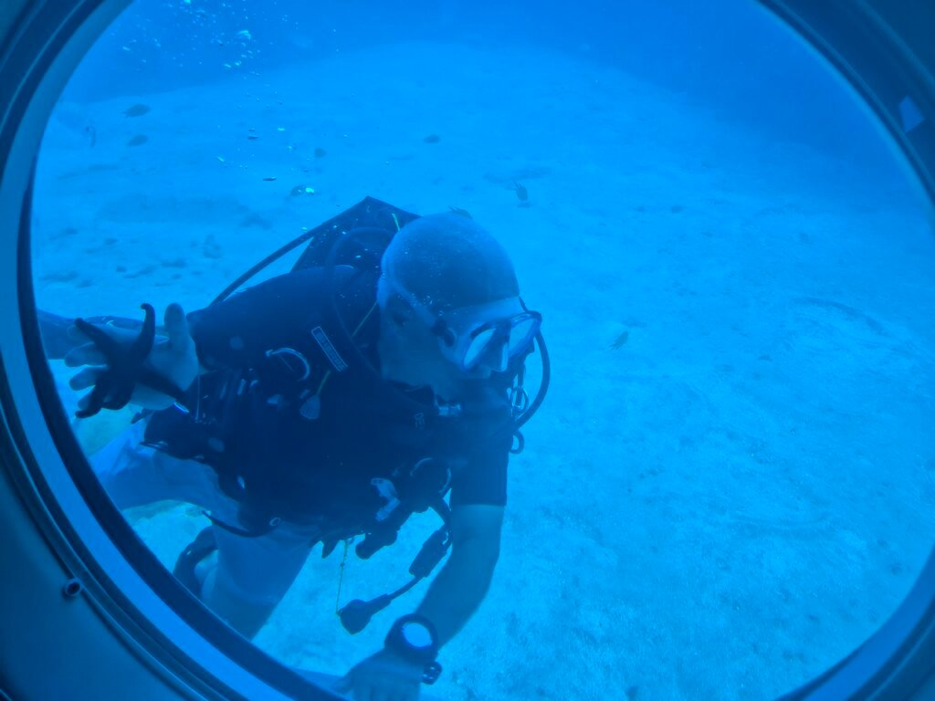 Submarine Safari