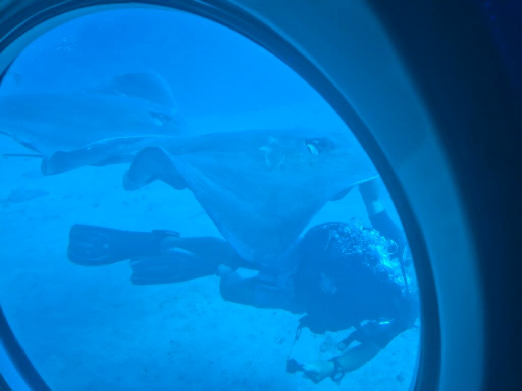 Underwater world