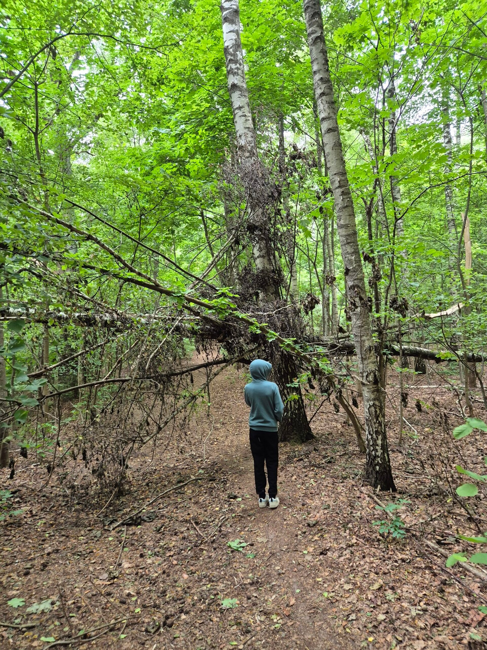 Following Barstukai trails