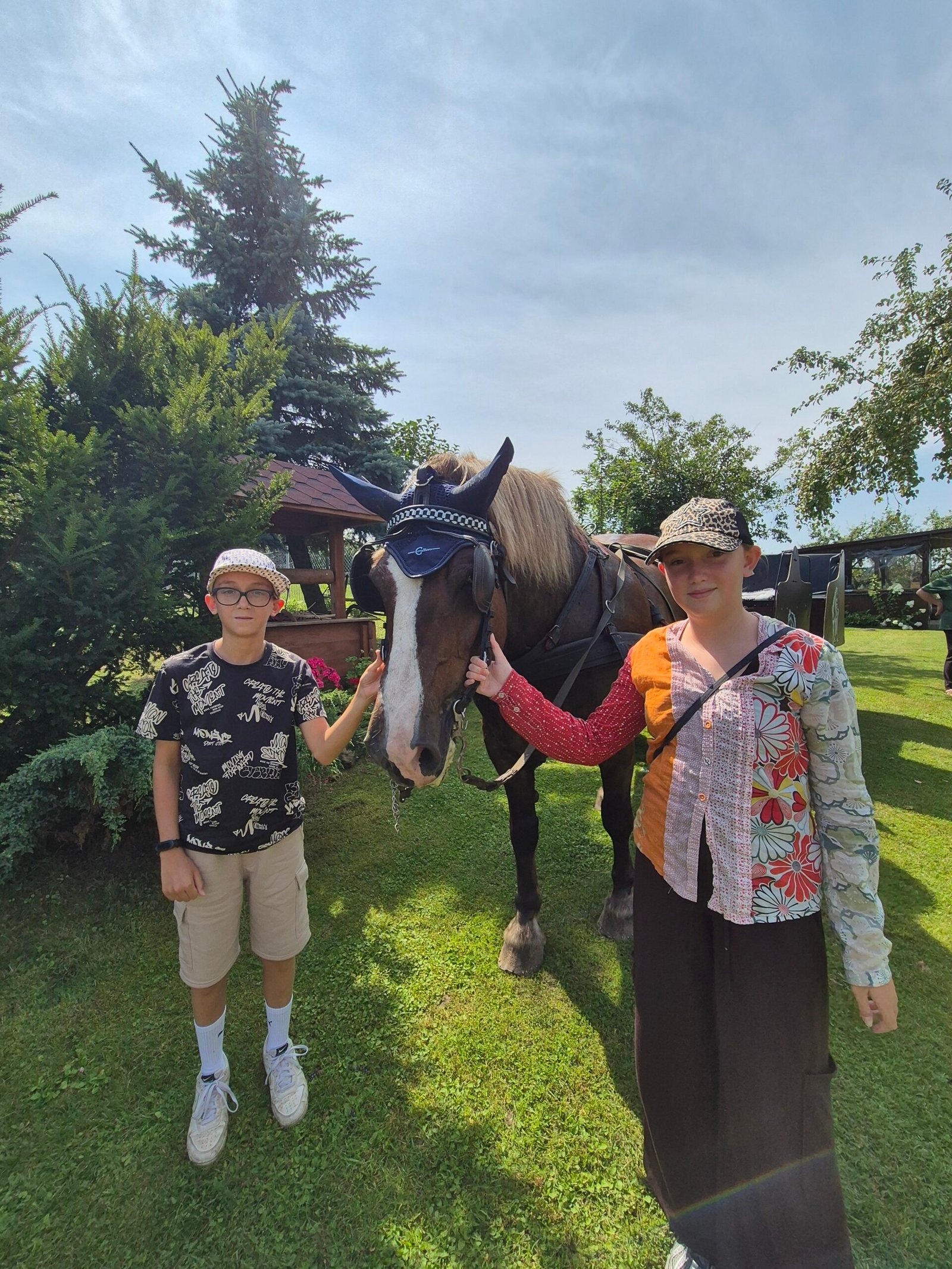 Meeting the horses and ponies