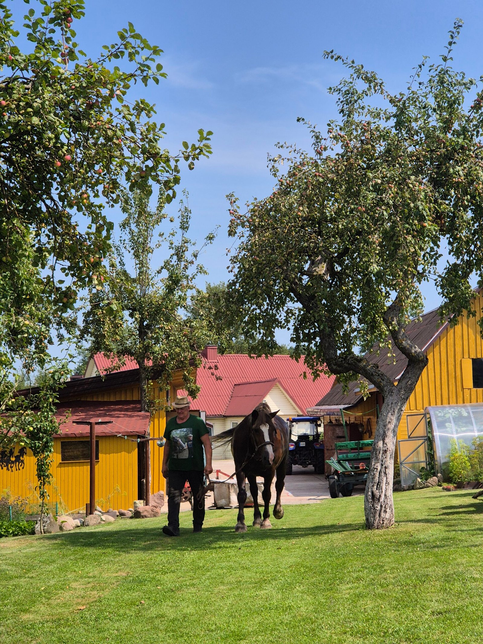 Žasliai Horses