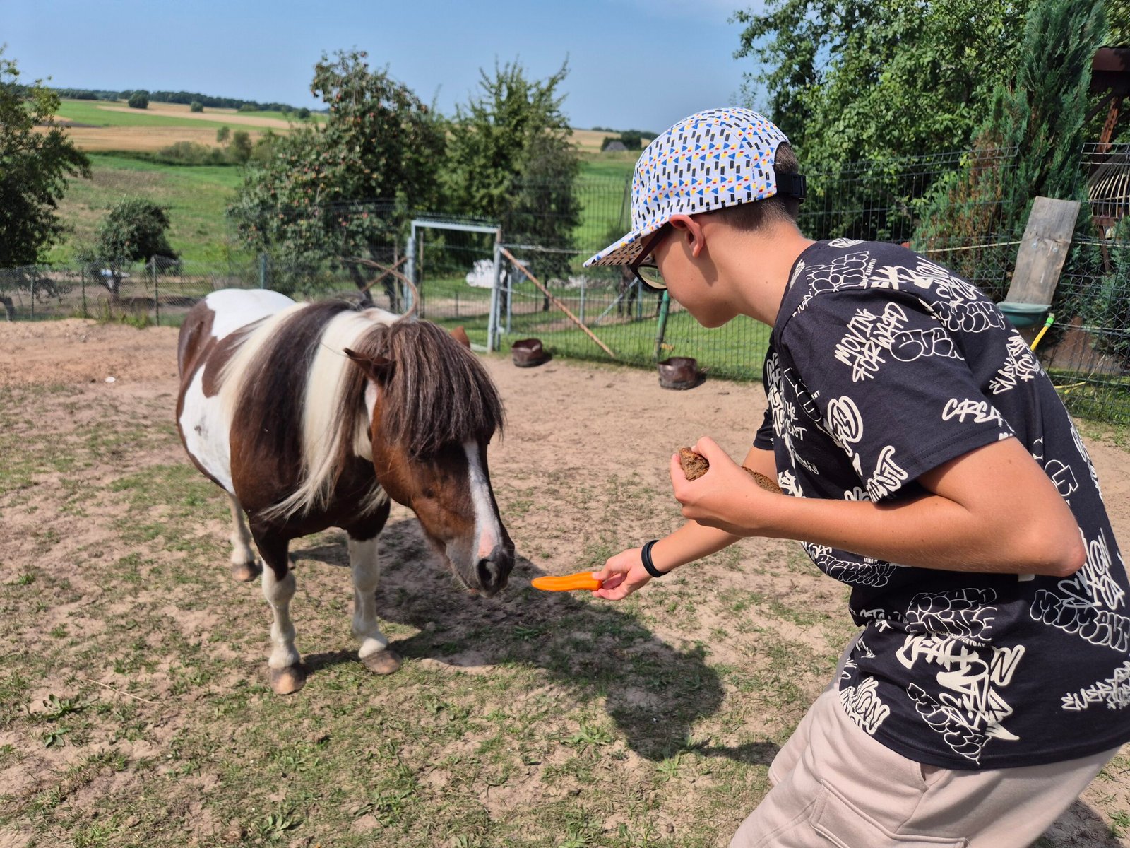 Meeting the horses and ponies