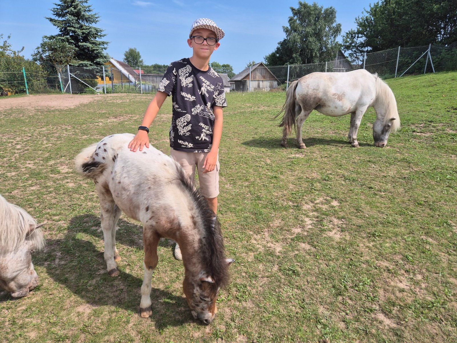 Meeting the horses and ponies