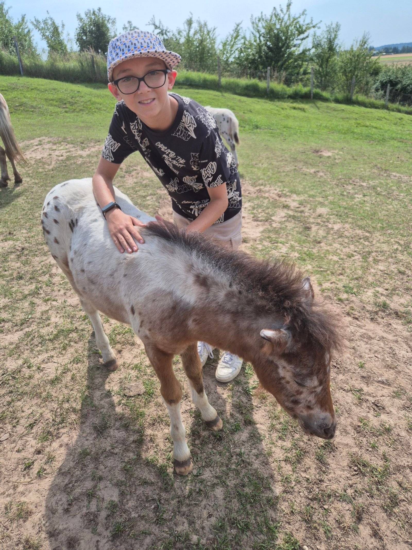 Žasliai Horses