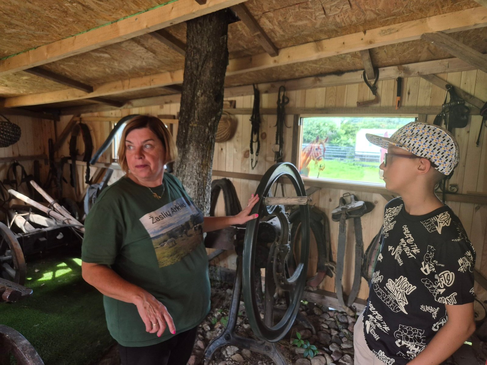 Horse-themed educational activity