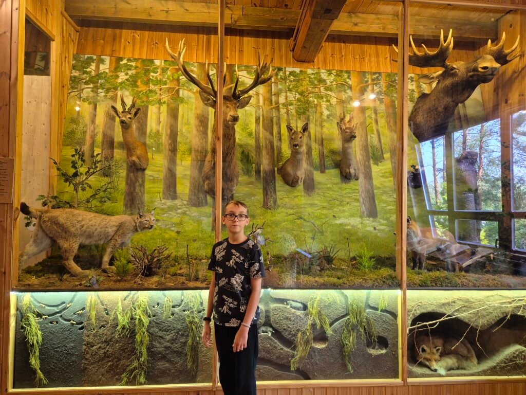 Girios Aidas Museum in Druskininkai