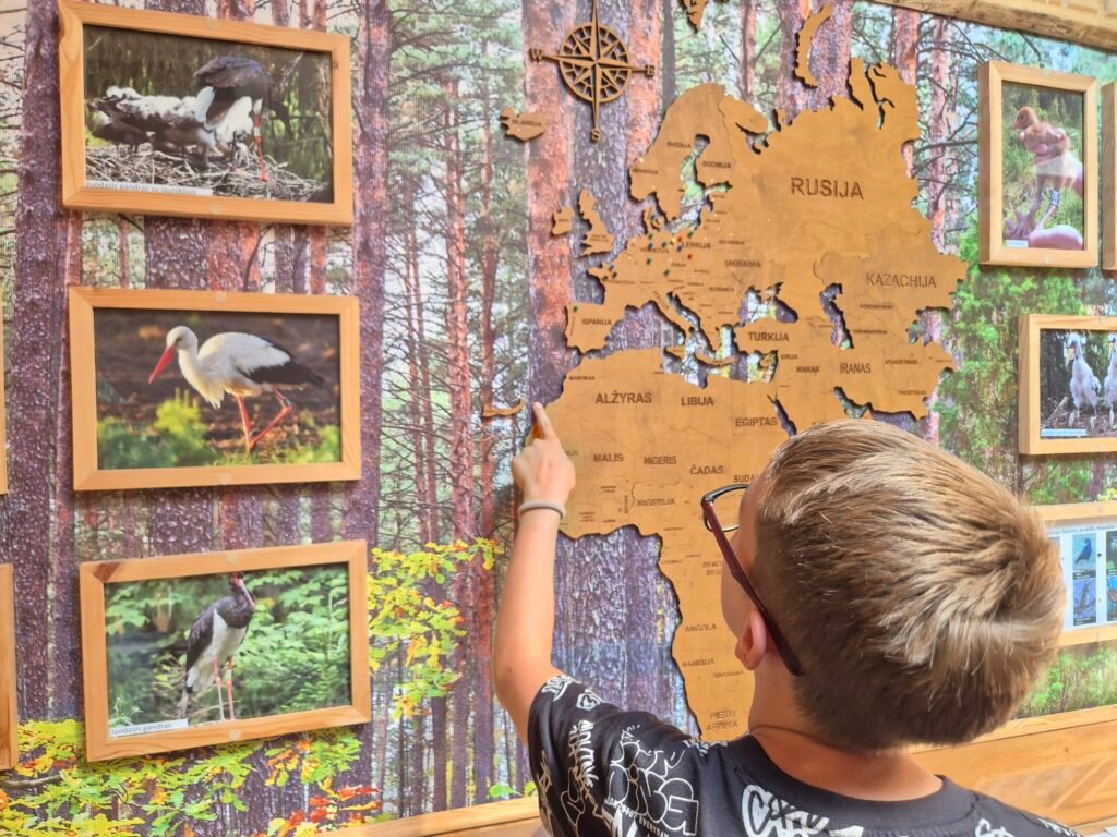 Free attraction in Druskininkai – Girios Aidas invites you to discover the world of the forest