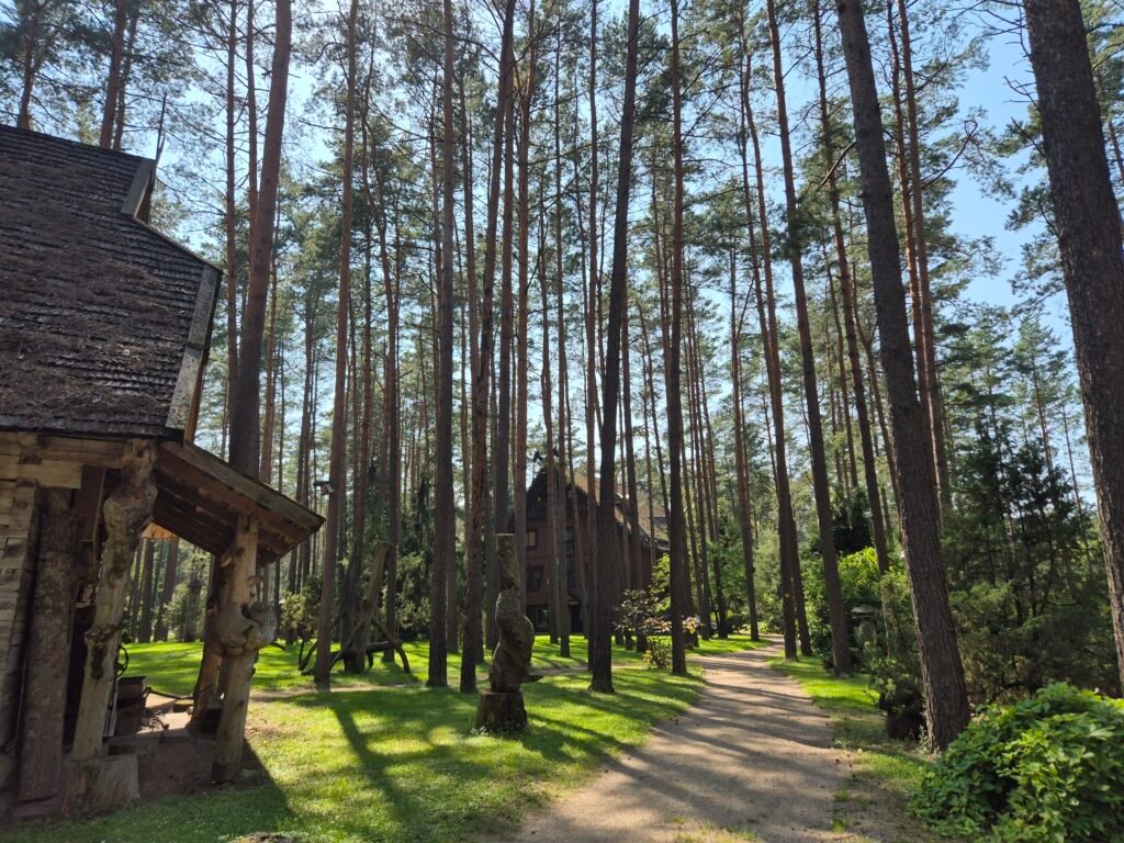 Forest Museum “Girios aidas” park
