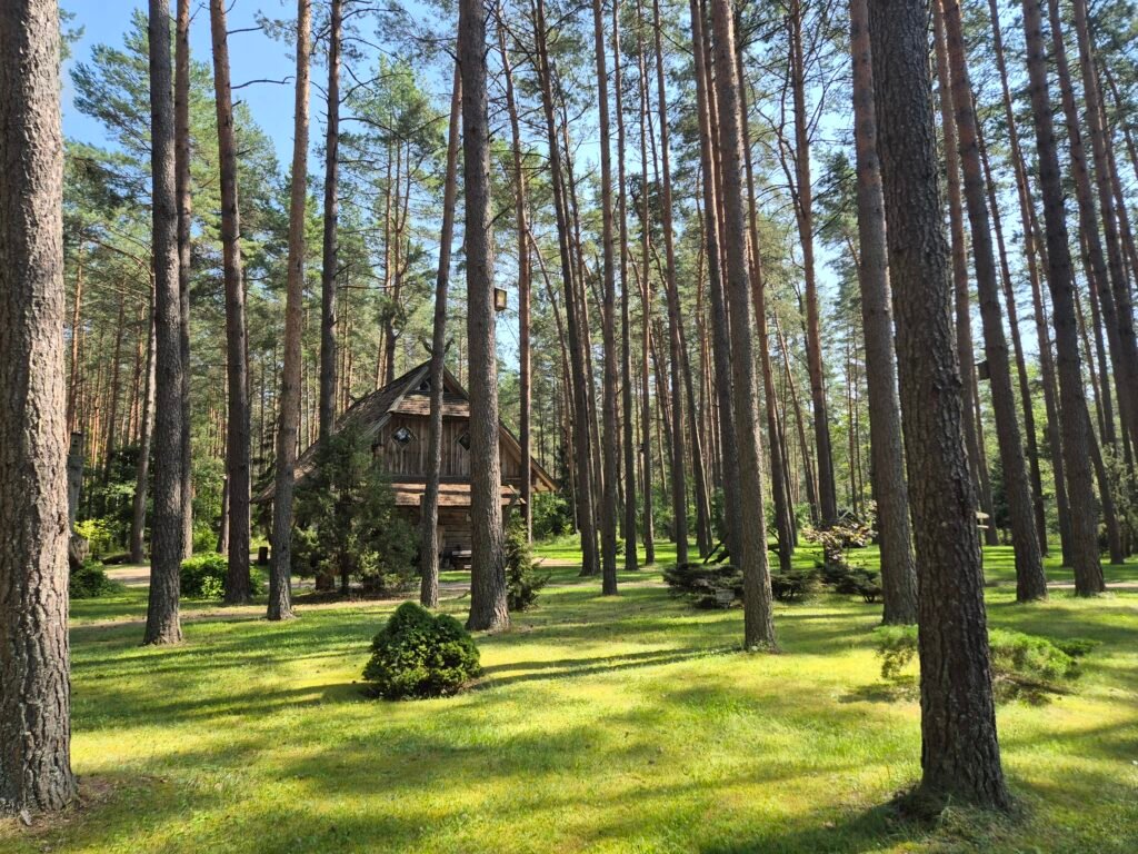 Forest Museum “Girios aidas” park