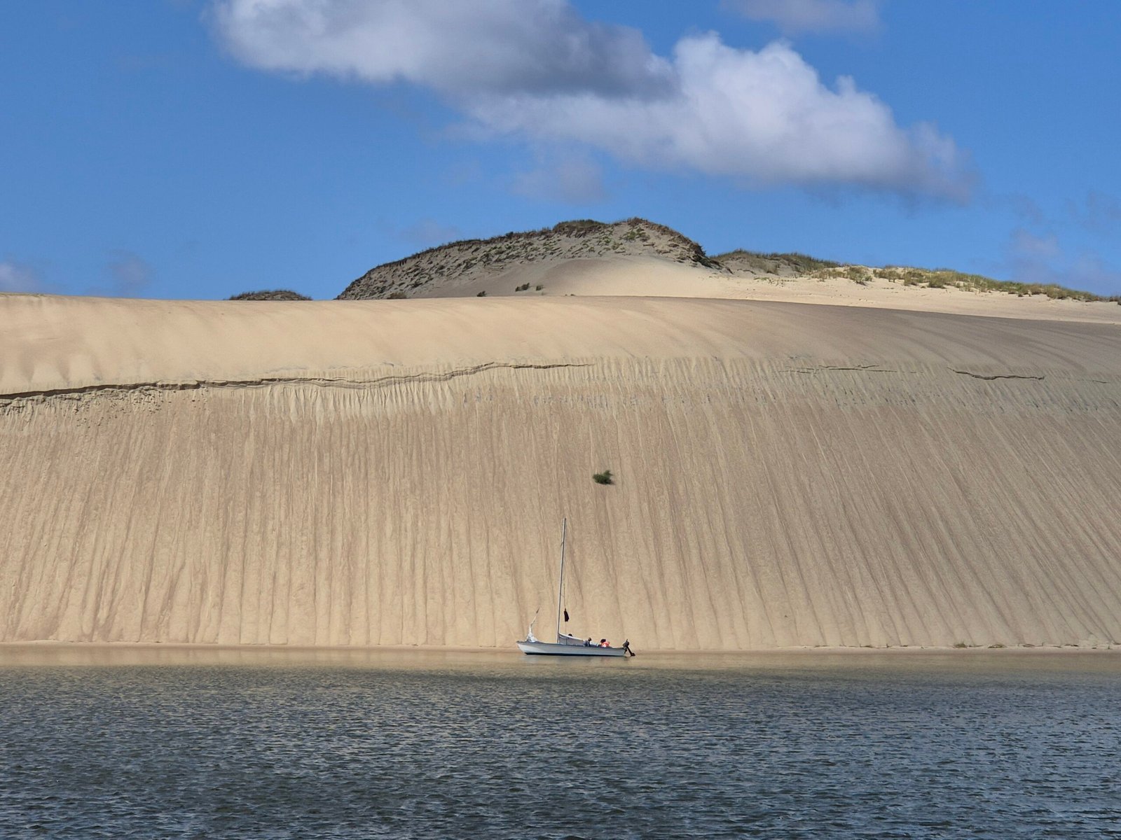Dead Dunes