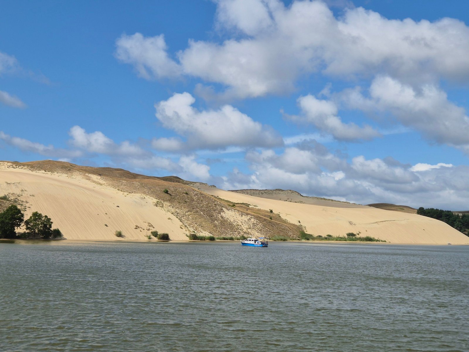 Dead Dunes
