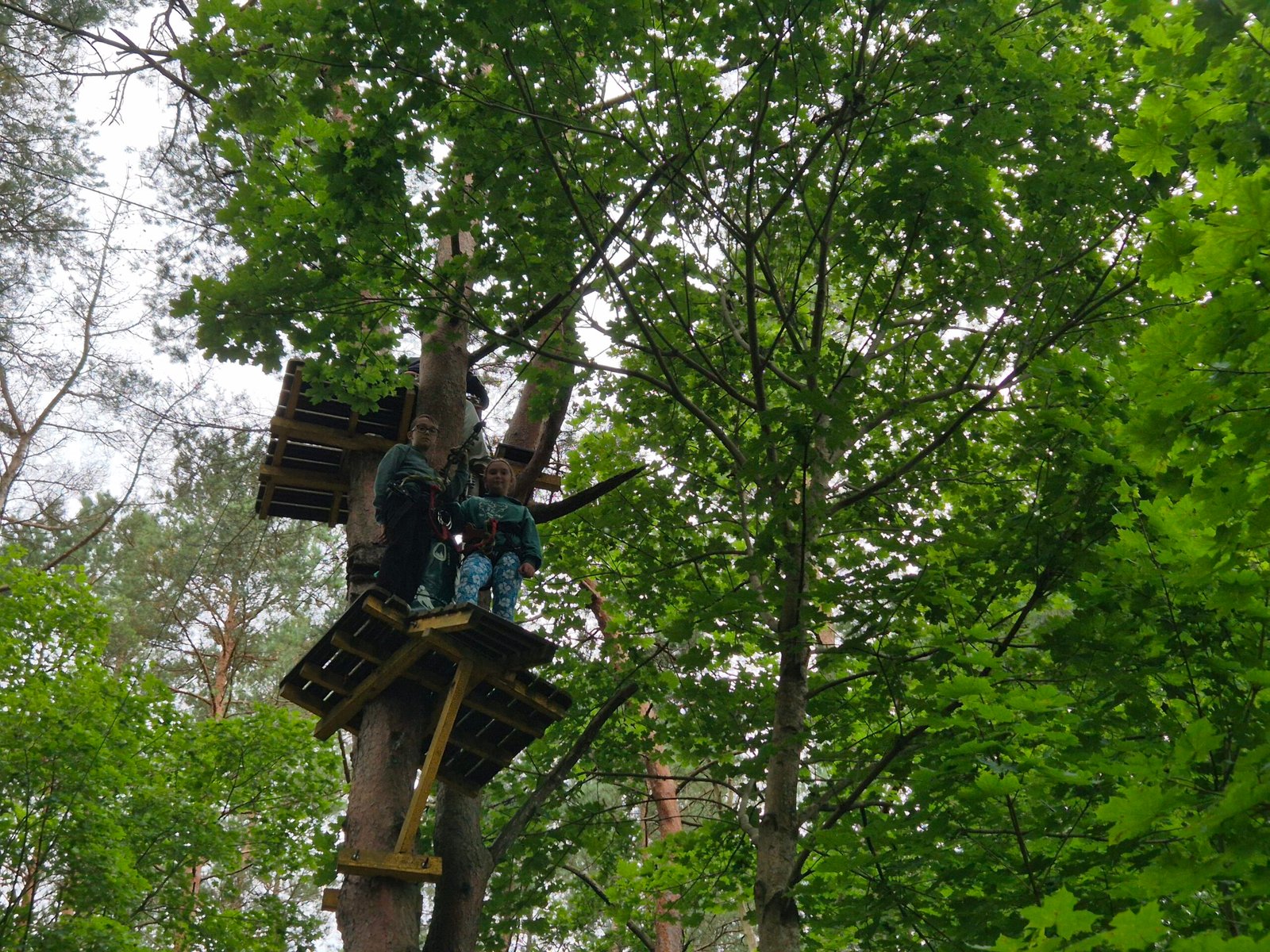 “Miškas Park” – climbing among the treetops