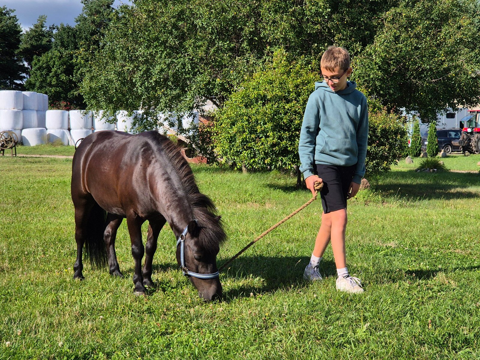 Horse and Rider riding school and stable