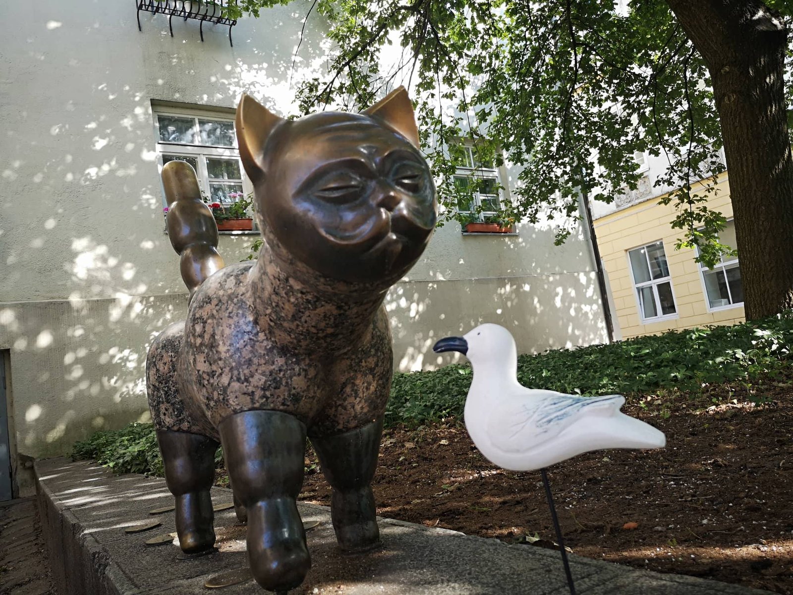 Gentleman cat in Klaipėda